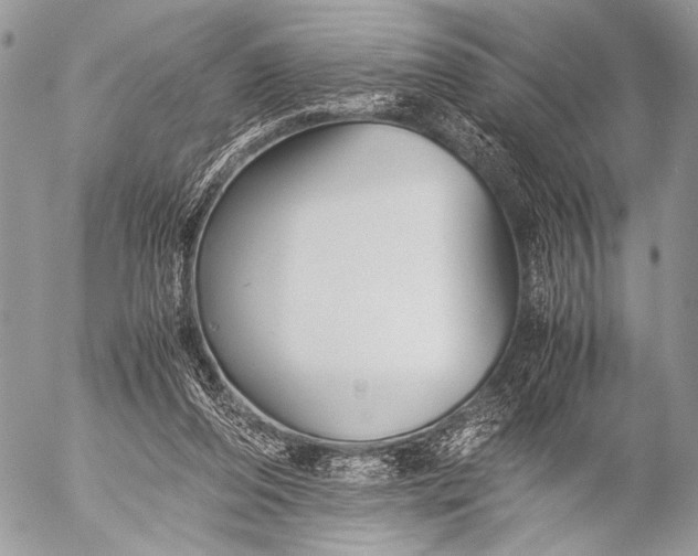 X0000053050208200507251432