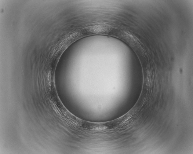 X0000053050210200507251432