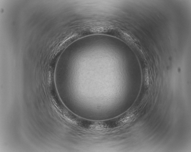 X0000053050211200507251432