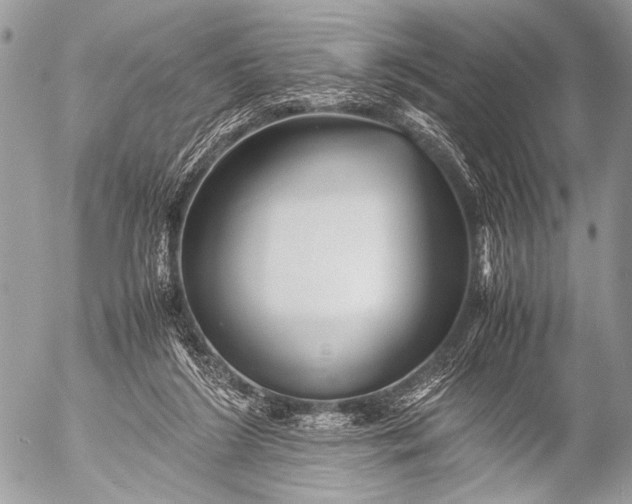 X0000053050212200507251432