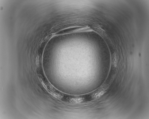 X0000053050213200507251432