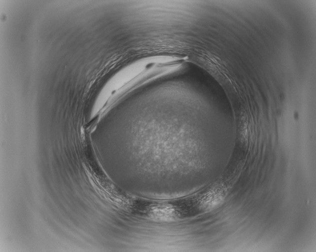 X0000053050214200507251432