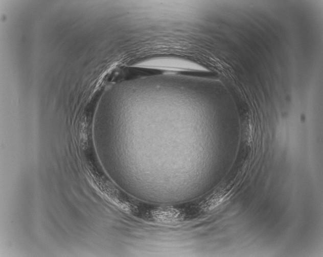 X0000053050215200507251431