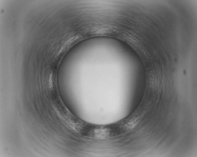 X0000053050216200507251431