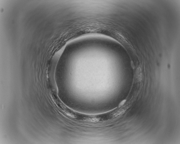 X0000053050217200507251431