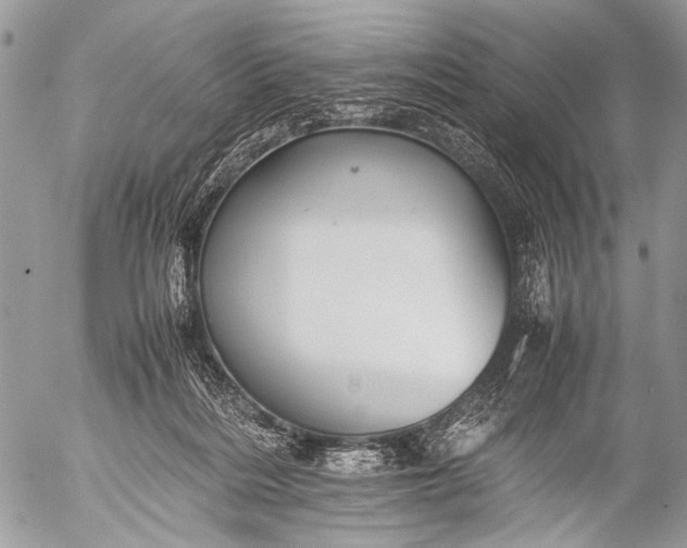 X0000053050220200507251431