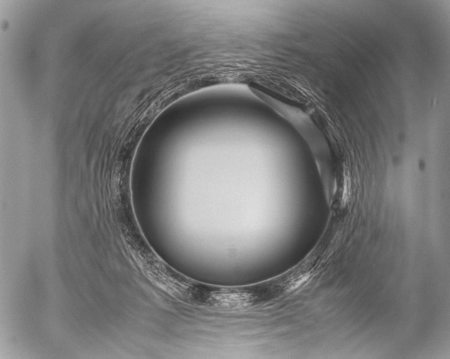 X0000053050221200507251431