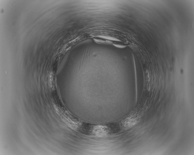 X0000053050222200507251431