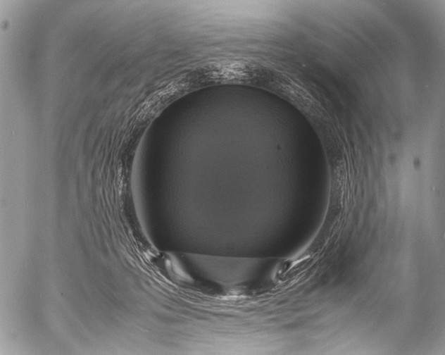 X0000053050223200507251431