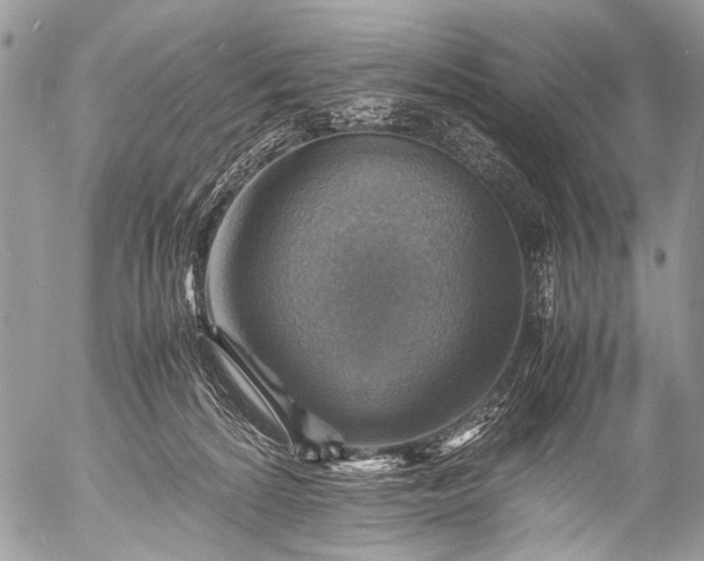 X0000053050224200507251431