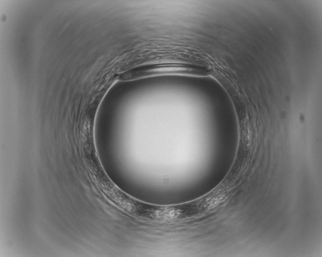 X0000053050225200507251431