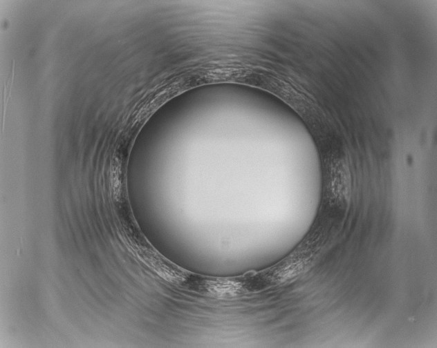 X0000053050226200507251431