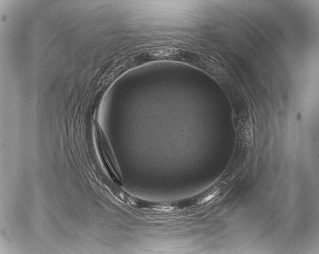 X0000053050227200507251431