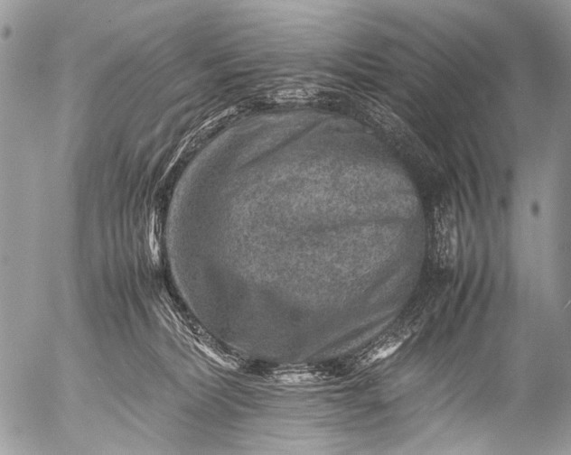 X0000053050228200507251431