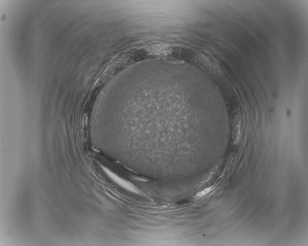 X0000053050229200507251431