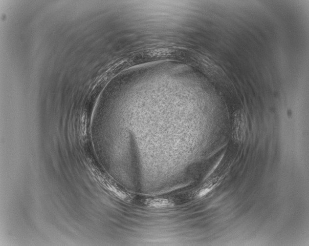 X0000053050230200507251431