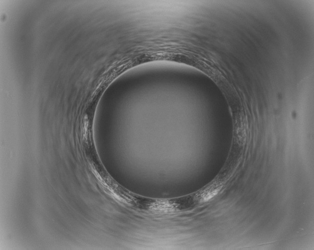 X0000053050231200507251431