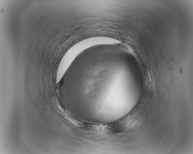 X0000053050233200507251431