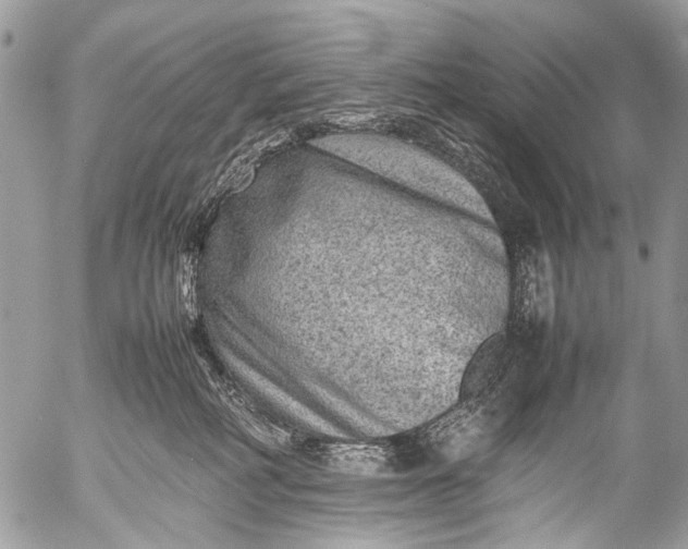 X0000053050234200507251431