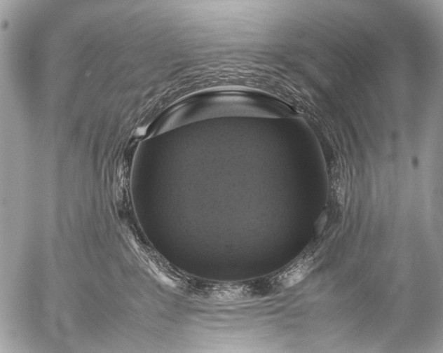 X0000053050235200507251431