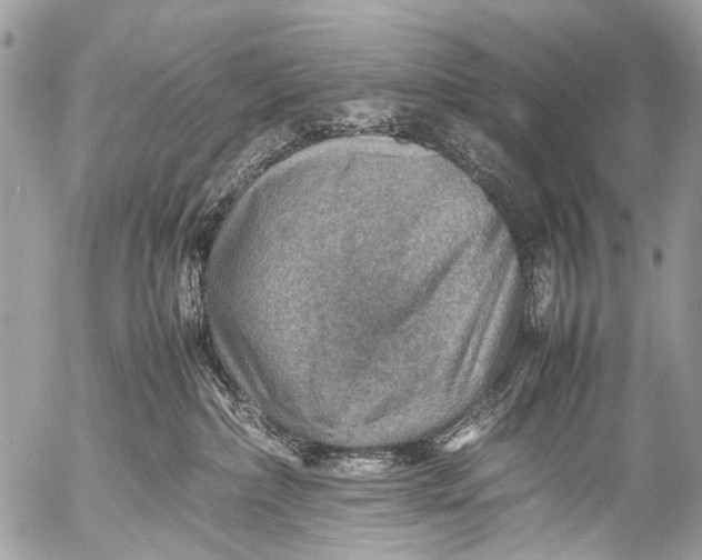 X0000053050236200507251431