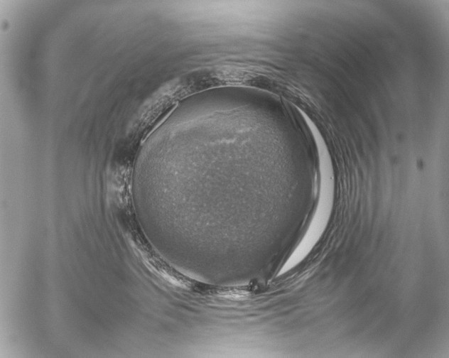 X0000053050237200507251431