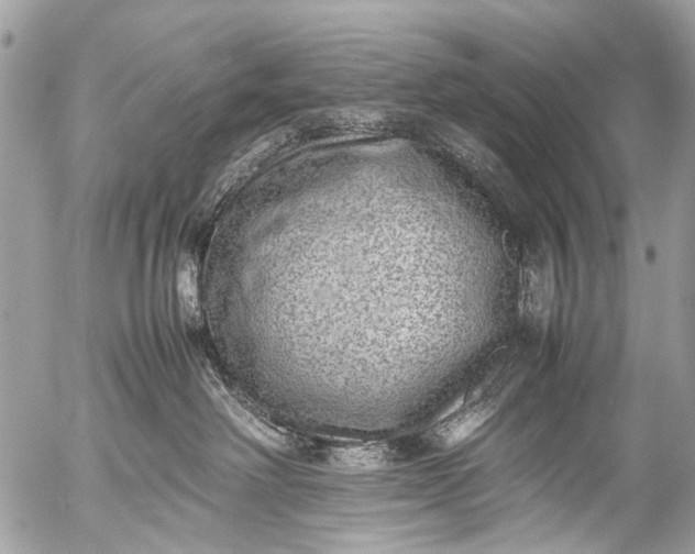 X0000053050238200507251431