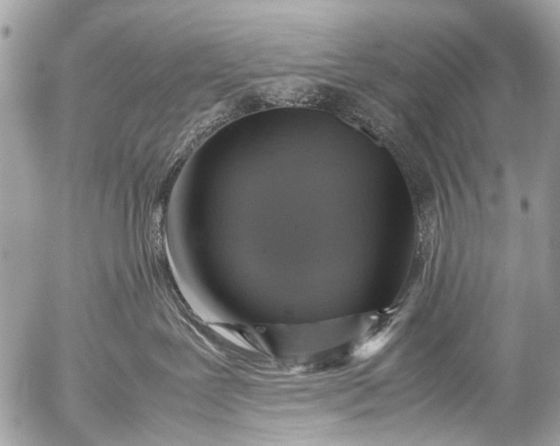 X0000053050239200507251431