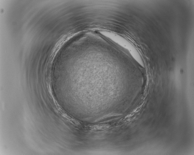 X0000053050241200507251430