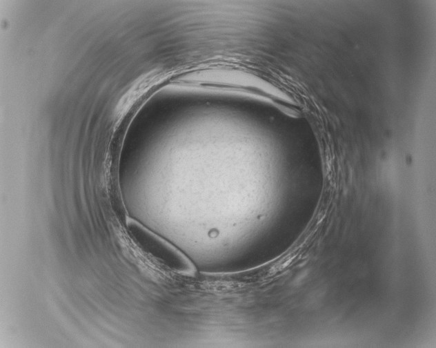 X0000053050242200507251430