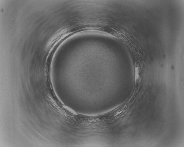 X0000053050243200507251430