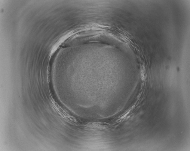 X0000053050244200507251430