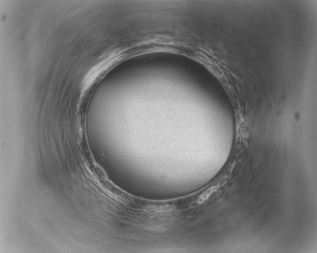 X0000053050245200507251430