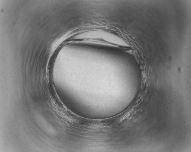 X0000053050246200507251430