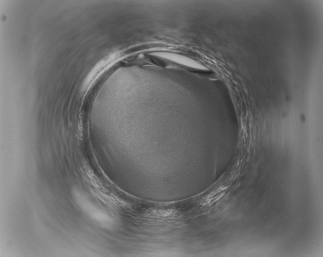 X0000053050247200507251430