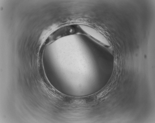 X0000053050248200507251430