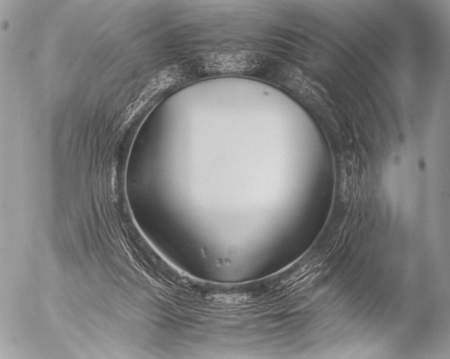 X0000053050251200507251430