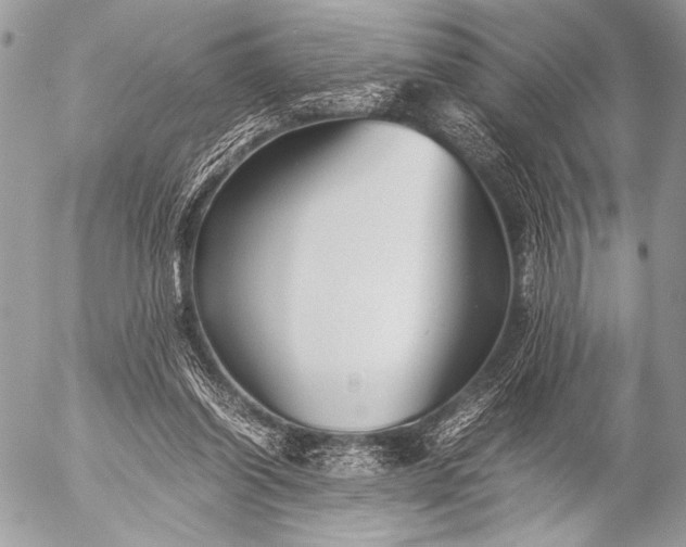 X0000053050254200507251431