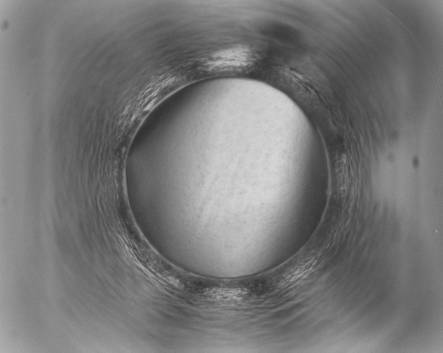 X0000053050255200507251431