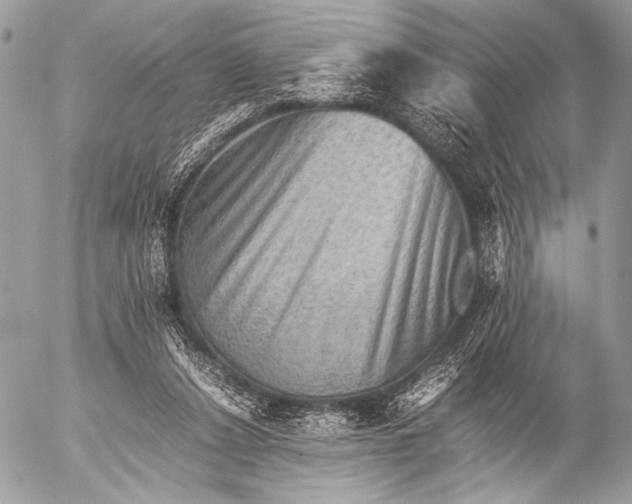 X0000053050256200507251431