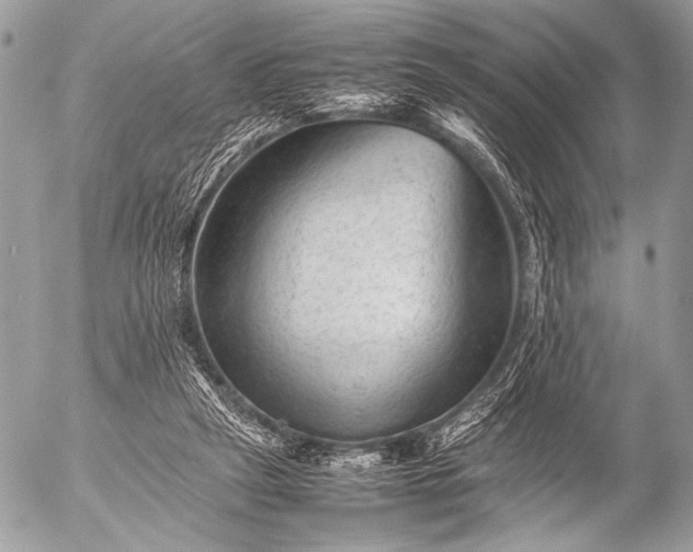 X0000053050257200507251431