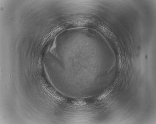 X0000053050258200507251431