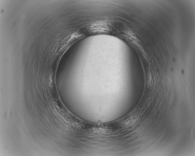 X0000053050259200507251431