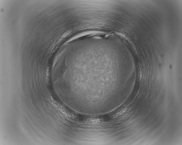 X0000053050260200507251431