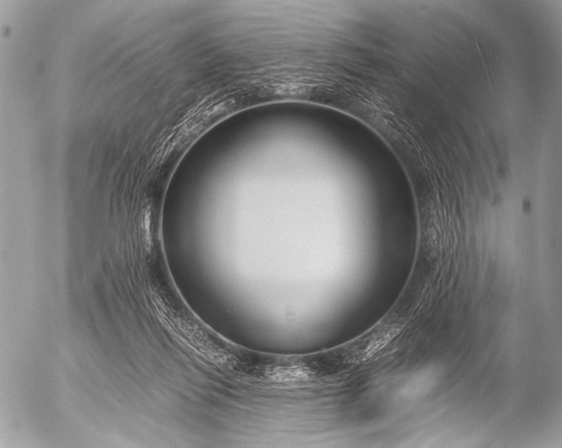 X0000053050262200507251431