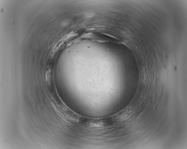 X0000053050263200507251431