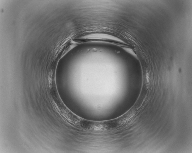 X0000053050264200507251431