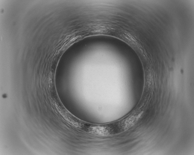 X0000053050265200507251431