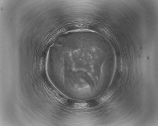 X0000053050266200507251431