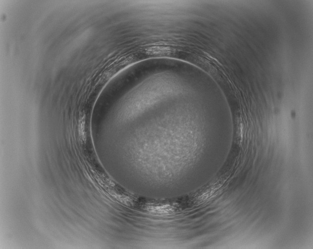 X0000053050267200507251431